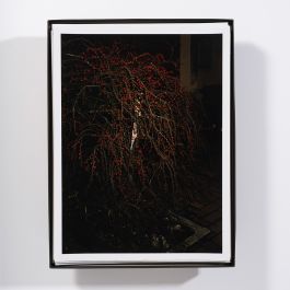  Frederick Vidal – visual research