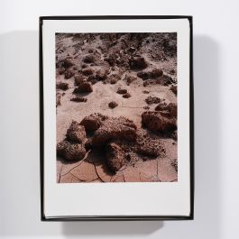  Frederick Vidal – visual research