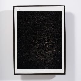  Frederick Vidal – visual research