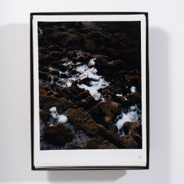  Frederick Vidal – visual research