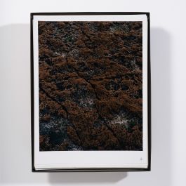  Frederick Vidal – visual research