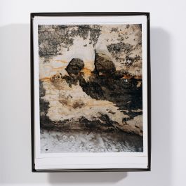  Frederick Vidal – visual research