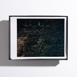  Frederick Vidal – visual research