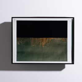  Frederick Vidal – visual research