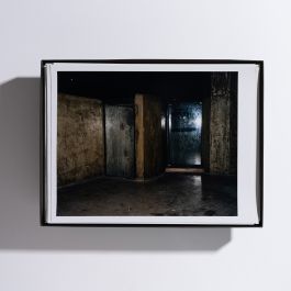  Frederick Vidal – visual research