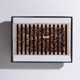  Frederick Vidal – visual research