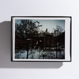  Frederick Vidal – visual research