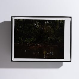  Frederick Vidal – visual research