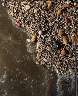  Frederick Vidal – visual research