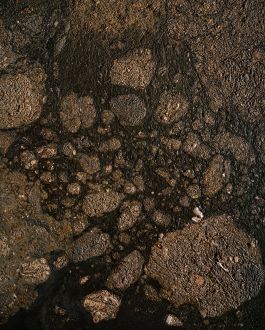  Frederick Vidal – visual research