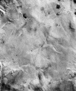  Frederick Vidal – visual research