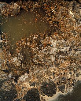  Frederick Vidal – visual research