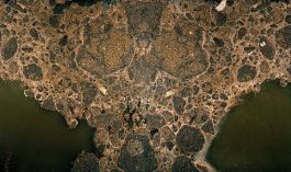  Frederick Vidal – visual research