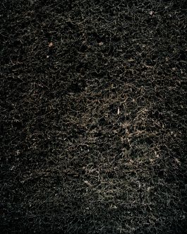  Frederick Vidal – visual research