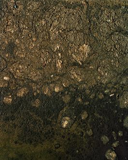  Frederick Vidal – visual research