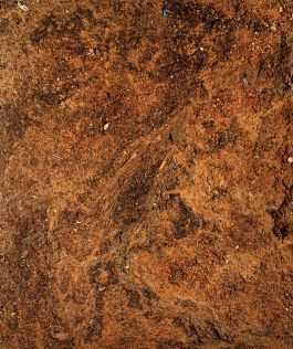  Frederick Vidal – visual research