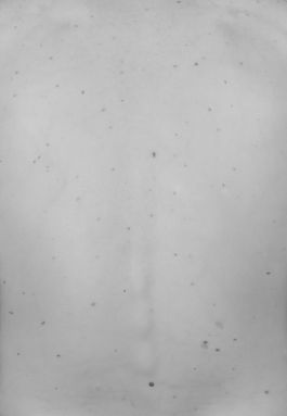  Frederick Vidal – visual research