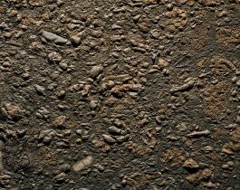  Frederick Vidal – visual research