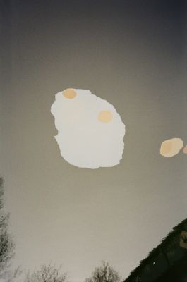  Frederick Vidal – visual research