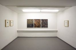 entropia art exhibition view Frederick Vidal – visual research