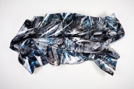  Frederick Vidal – visual research