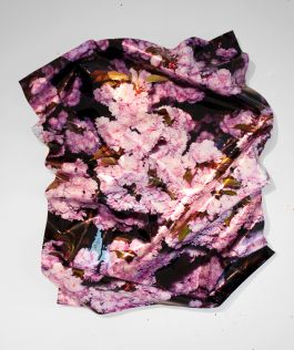  Frederick Vidal – visual research