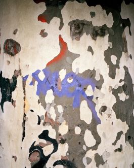  Frederick Vidal – visual research