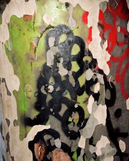  Frederick Vidal – visual research