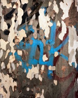  Frederick Vidal – visual research