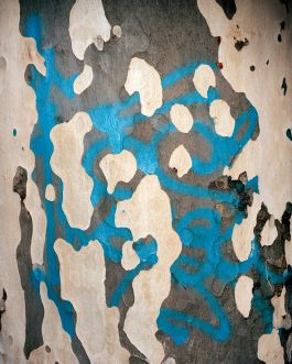  Frederick Vidal – visual research