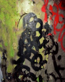  Frederick Vidal – visual research