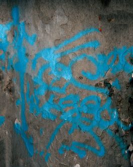  Frederick Vidal – visual research