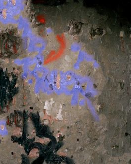  Frederick Vidal – visual research