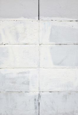  Frederick Vidal – visual research