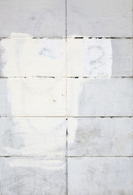  Frederick Vidal – visual research