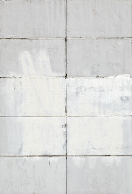  Frederick Vidal – visual research