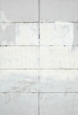  Frederick Vidal – visual research