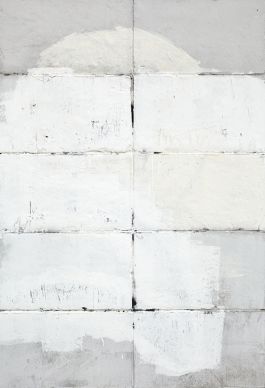  Frederick Vidal – visual research