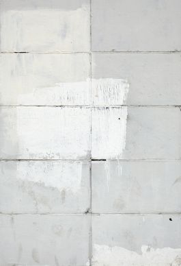  Frederick Vidal – visual research