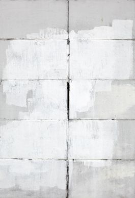  Frederick Vidal – visual research