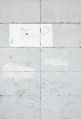  Frederick Vidal – visual research