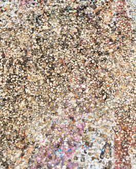  Frederick Vidal – visual research