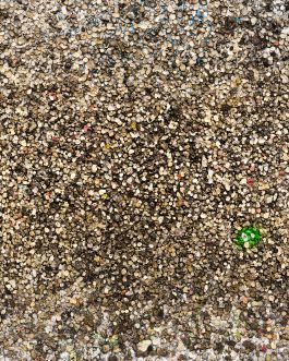  Frederick Vidal – visual research