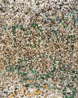  Frederick Vidal – visual research