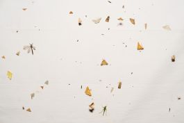  Frederick Vidal – visual research