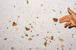  Frederick Vidal – visual research