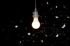  Frederick Vidal – visual research