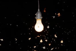  Frederick Vidal – visual research