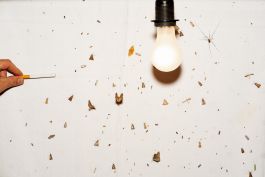  Frederick Vidal – visual research