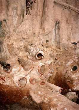  Frederick Vidal – visual research